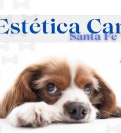 Estética Canina Santa Fe Vet Center