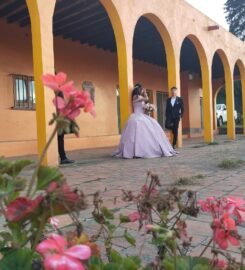 Salon y jardin Acopilco